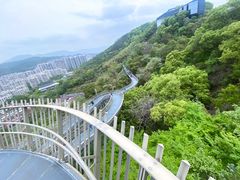 -福道