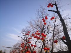 -八大处公园