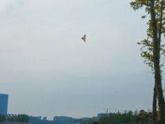 -春花秋色城市公园