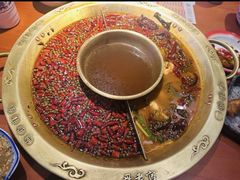 -哥老官重庆美蛙鱼头(西湖银泰十一哥店)