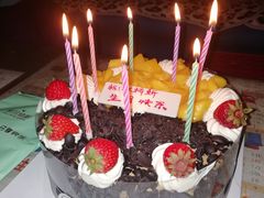 -维尔纳斯·生日蛋糕·动物奶油冰淇淋蛋糕(六里桥店)