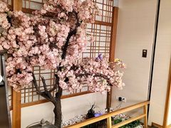 -汤泉良子.足疗按摩.SPA(中关村店)