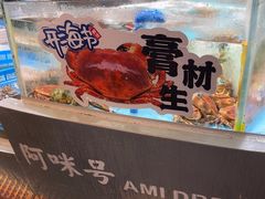 -王庄阿咪海鲜大排档(上下杭店)