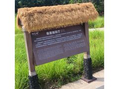 -悬崖咖啡厅