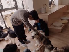 -Husky Go! 哈士奇体验馆·宠物咖啡厅狗咖