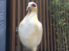 -琬苑鸽庄·川粤融合菜(解放碑总店)