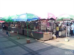 -日照灯塔风景区