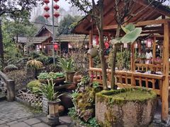 -青城甲(青城山店)