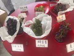 -马陆小张葡萄园农家乐