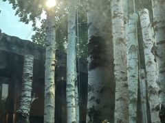 -Metal hands·铁手咖啡