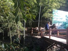 -藏龙百瀑风景区