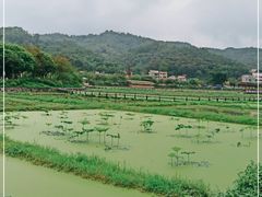 -红山村