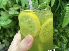 -VEGA VEGA 我行我素