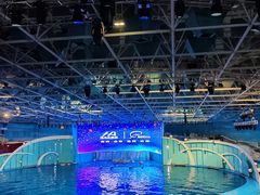 -海合安青岛极地海洋公园