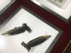 -上海昆虫博物馆