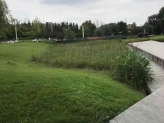 -两河城市森林公园