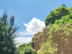 -海之鲜大排档(东山海鲜金銮湾店)