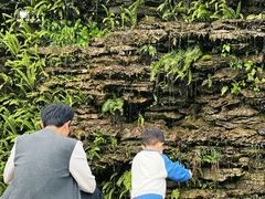 -广州神农草堂中医药博物馆