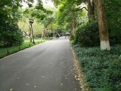 -苏堤停车场