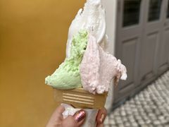 -柠檬车露(卖草地店)