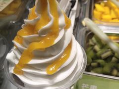 -Salud撒露欧洲冻酸奶(北苑上品店)