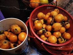 -塘栖枇杷特色园区