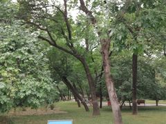 -元大都城垣遗址公园