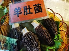 -易门野生菌府·菌海森林(月牙潭公园店)