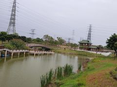 -王借岗森林公园