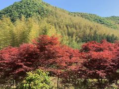 -宁波五龙潭景区