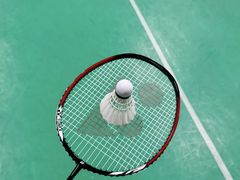 -东丽温泉羽毛球