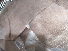 -码头故事火锅(郫县红光店)