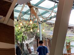 -喵屿·大理花园猫咖