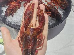 -洪福龙虾