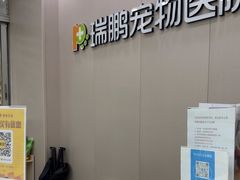 -瑞鹏宠物医院华南总院·夜诊·心脏科·骨科