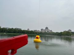 -莲花池公园