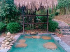 -崇阳三特浪口温泉
