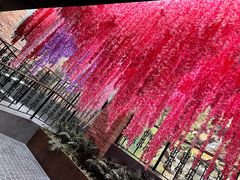 -南宫五洲植物乐园