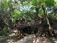 -山王坪喀斯特国家生态公园