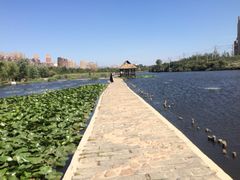 前关湿地公园-前关湿地公园