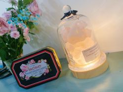 -茉柠Morning Nails