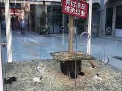 -T28PARK公园里