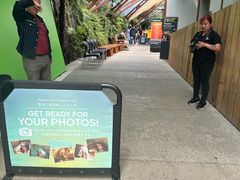 -怀托摩萤火虫洞