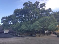 -普陀山雷迪森庄园