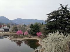 -国家植物园南园