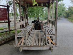 -杭州双溪漂流景区