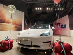 -TESLA 特斯拉(上海太古汇体验店)