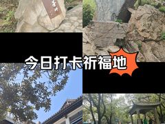 -惠山国家森林公园