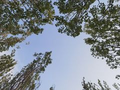 -朝阳公园