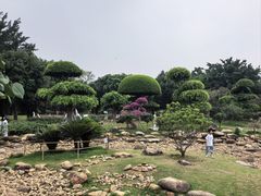 -南宁南湖公园